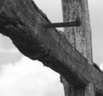 cross-with-nail