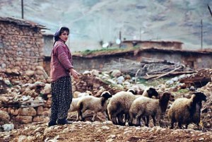 A Turkish shepherdess