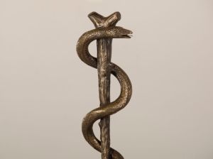 bronze snake