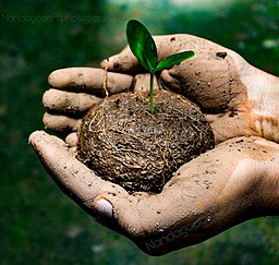 Environmental_day_special